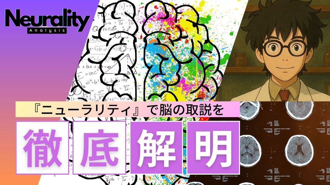 脳のイメージ